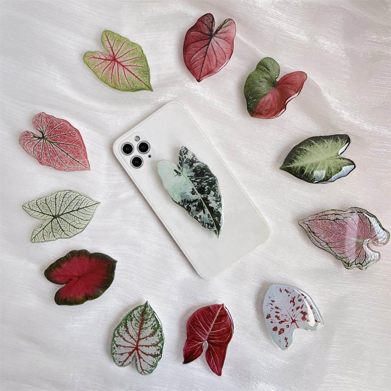Leaf caladium pop sockets