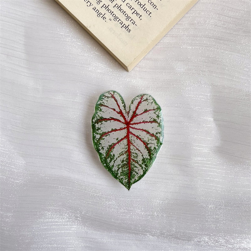 Leaf caladium pop sockets