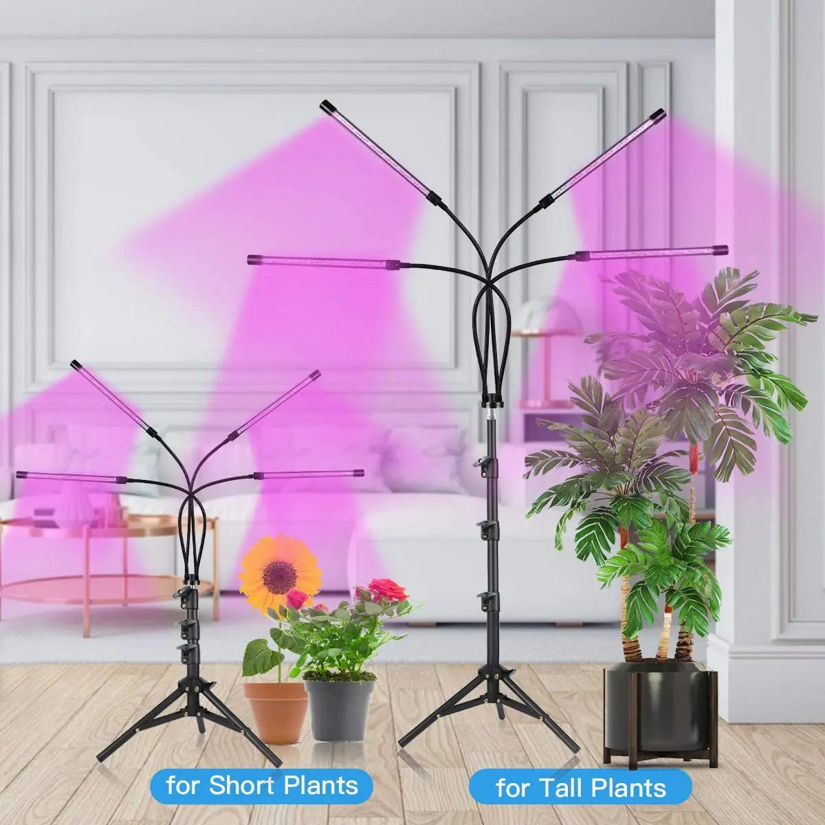 Phyto Lamp LED grow light tripod