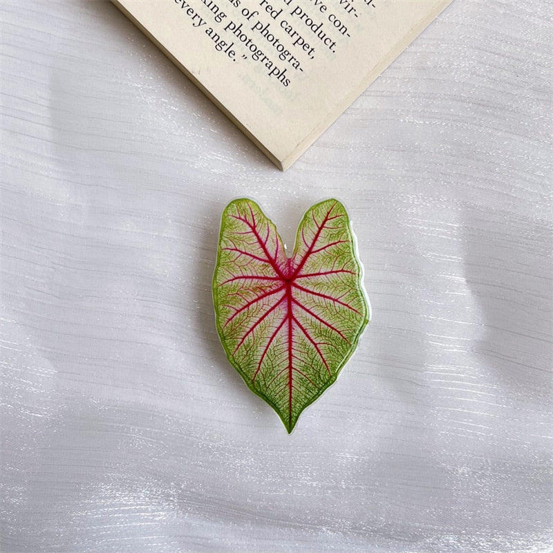 Leaf caladium pop sockets
