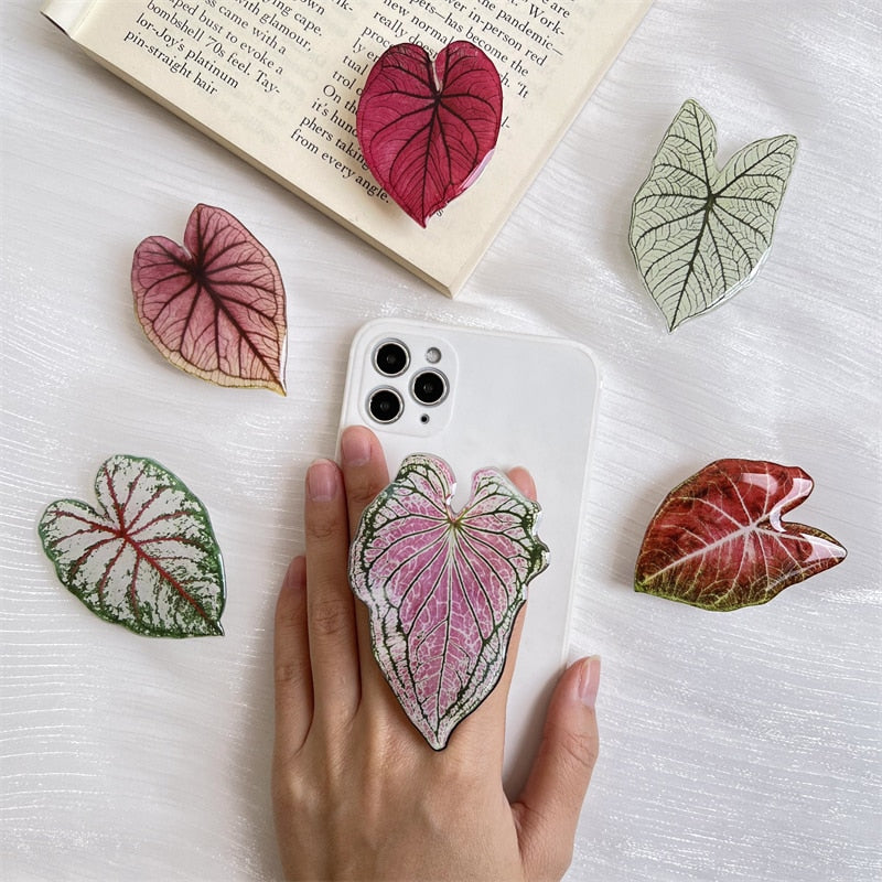 Leaf caladium pop sockets