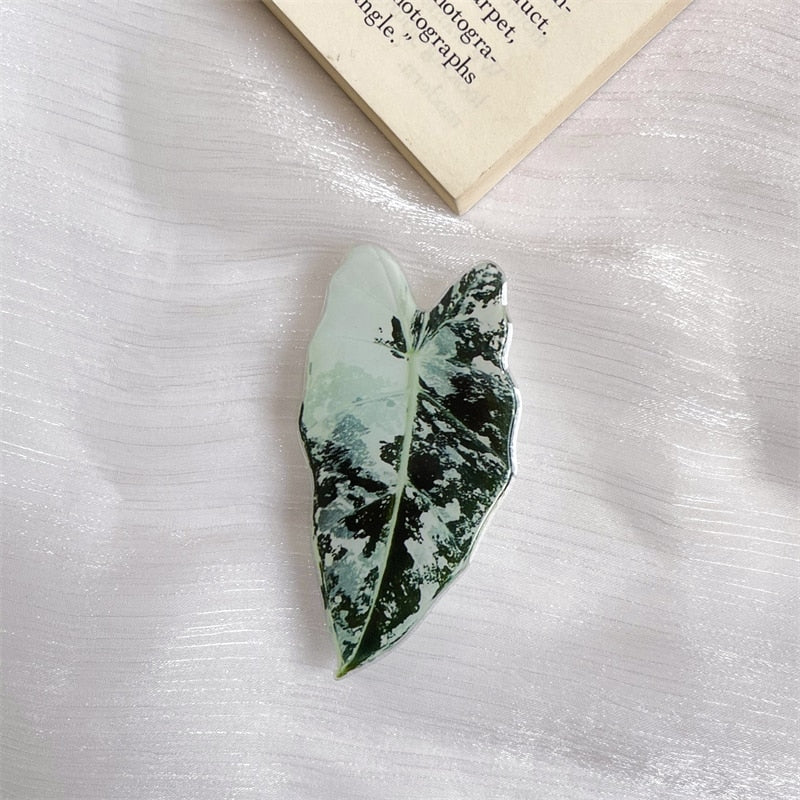 Leaf caladium pop sockets