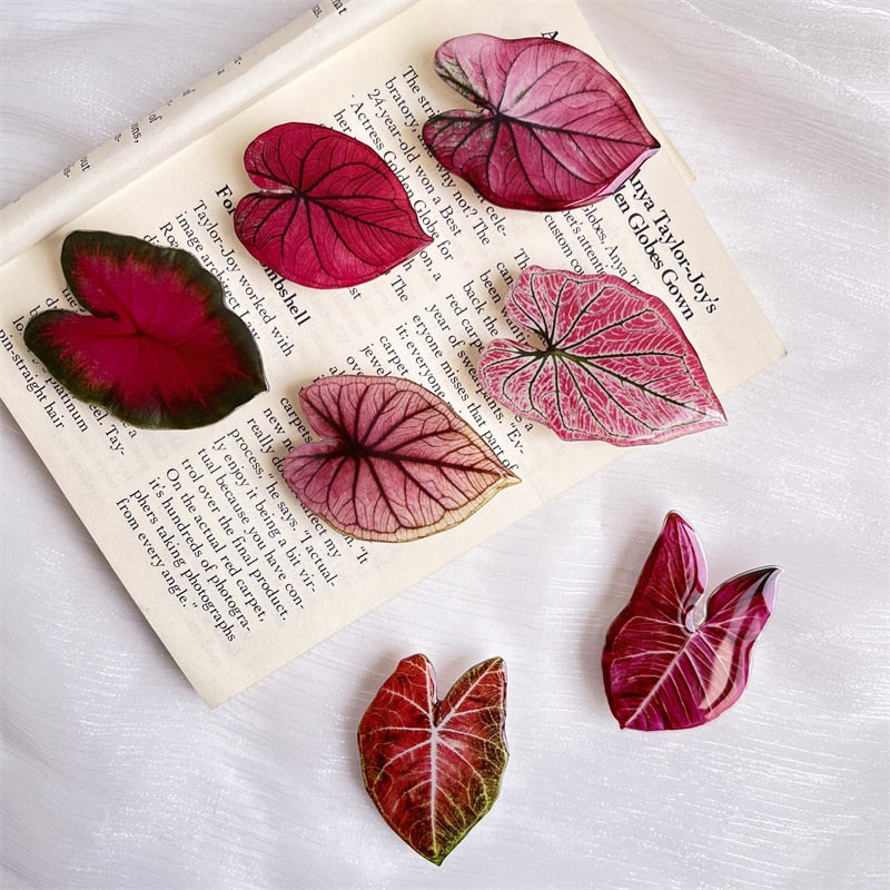 Leaf caladium pop sockets