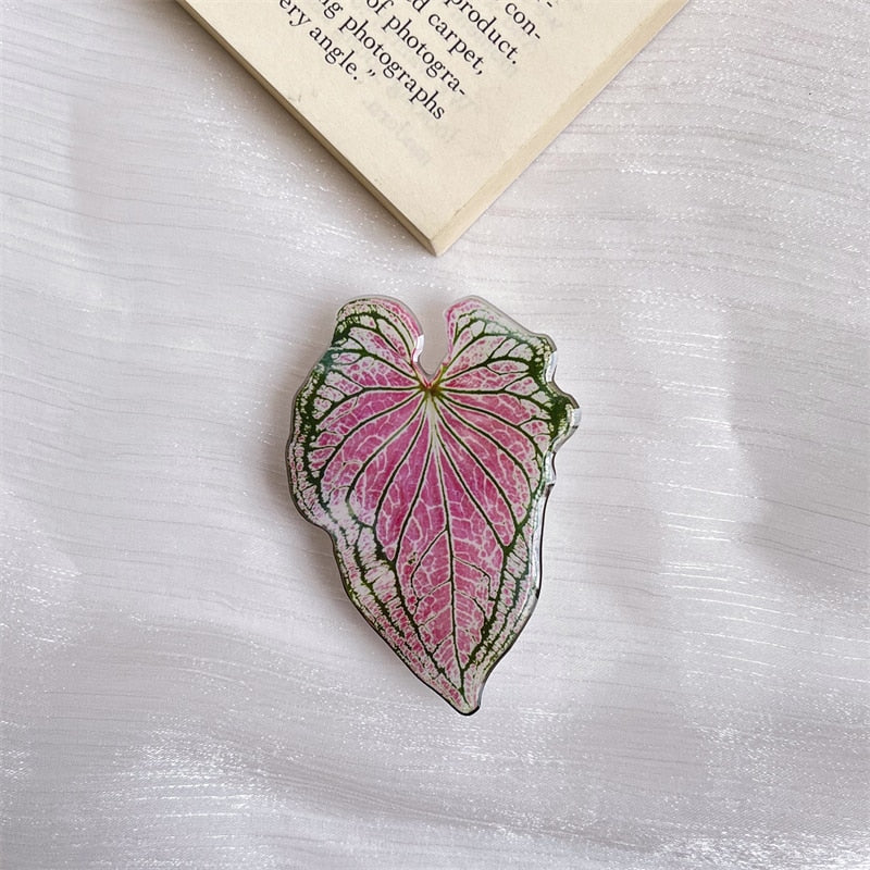 Leaf caladium pop sockets