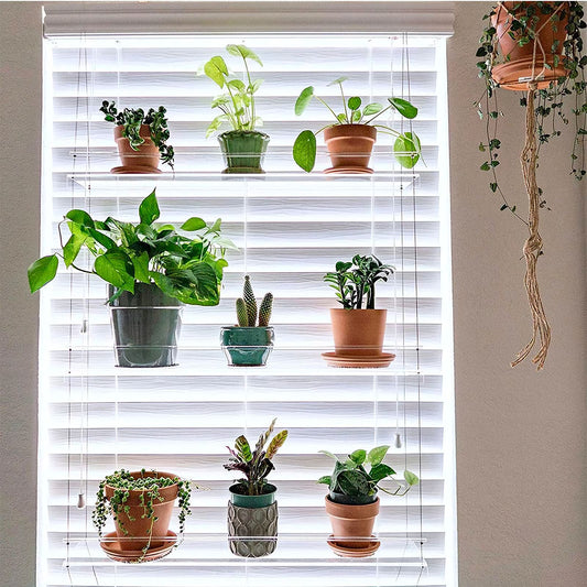 window plant shelf - transparent - hard plastic - cute - light - suculent - hanging - plant 