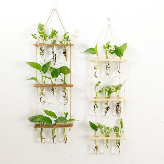 Hanging tripple lair test tubes wood propagation station