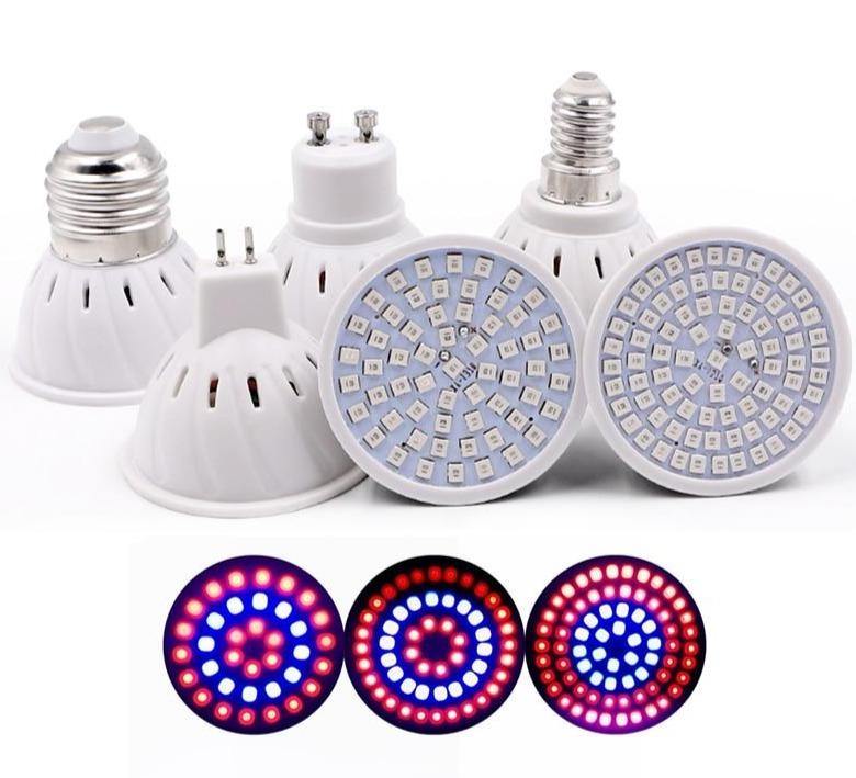grow light bulb