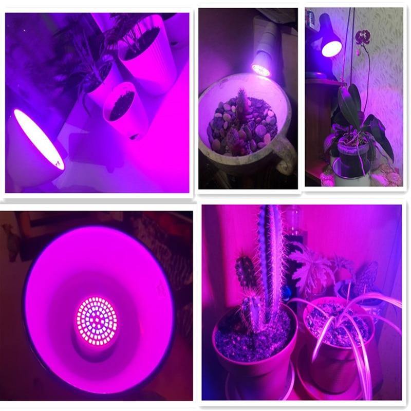LED grow light bulb - Leaf and Leisure