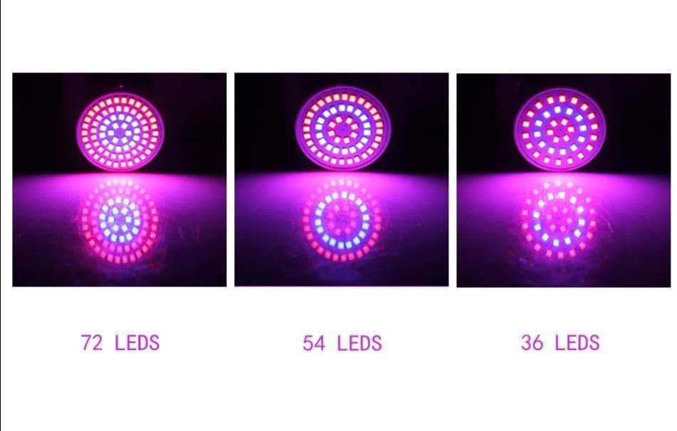 LED grow light bulb
