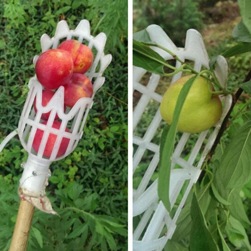 Fruit Picker - Leaf and Leisure