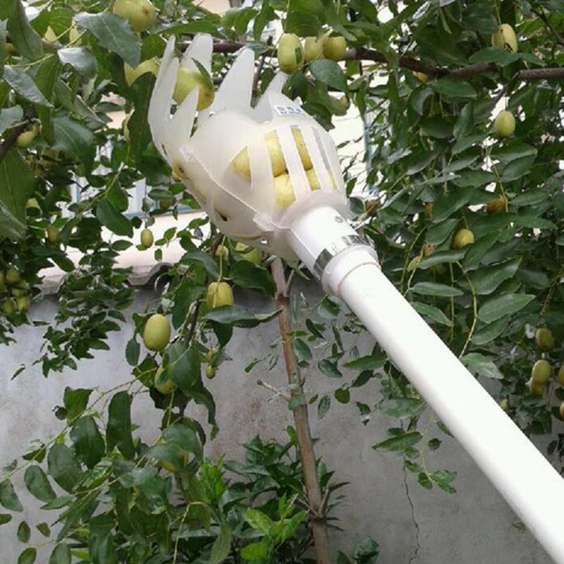 Fruit Picker - Leaf and Leisure