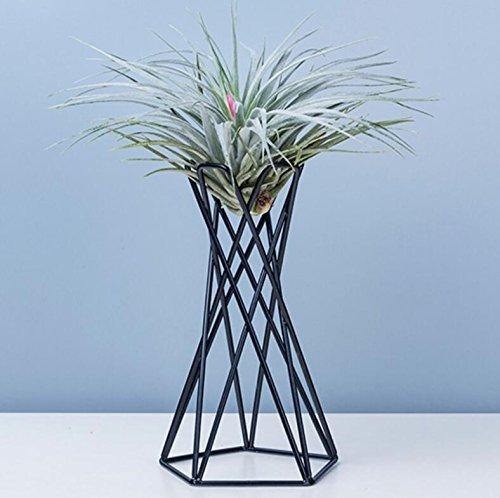 Metal Air Plant Stand - Leaf and Leisure