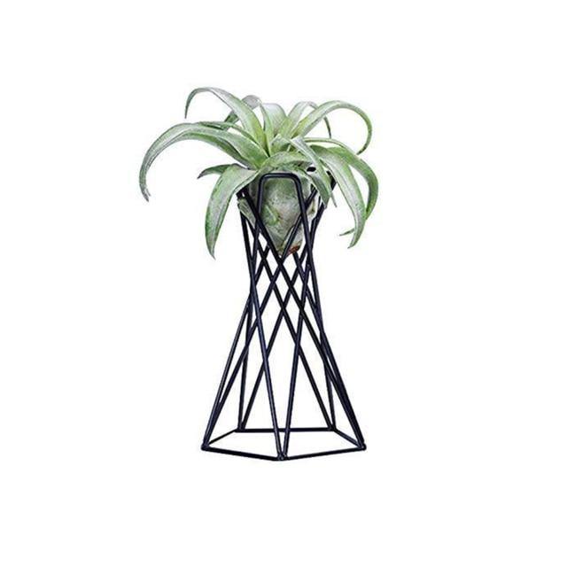 Metal Air Plant Stand - Leaf and Leisure