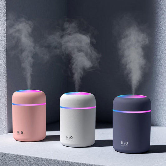 Portable 300ml Air Humidifier - Leaf and Leisure
