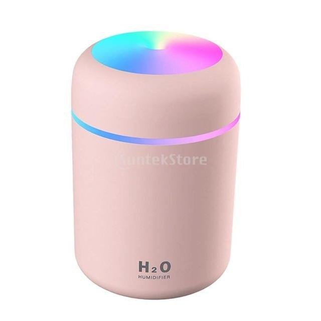 Portable 300ml Air Humidifier - Leaf and Leisure