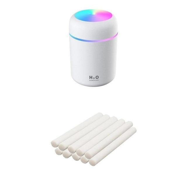 Portable 300ml Air Humidifier - Leaf and Leisure