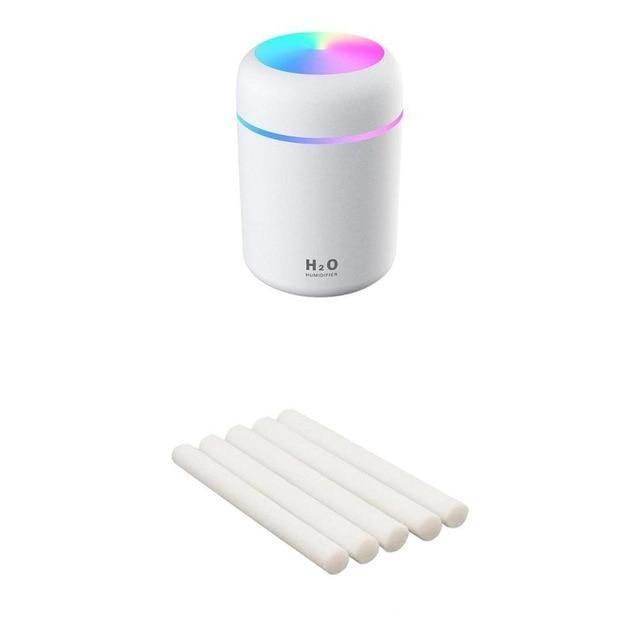 Portable 300ml Air Humidifier - Leaf and Leisure