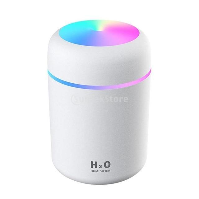 Portable 300ml Air Humidifier - Leaf and Leisure
