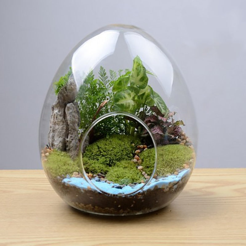 Terrerium