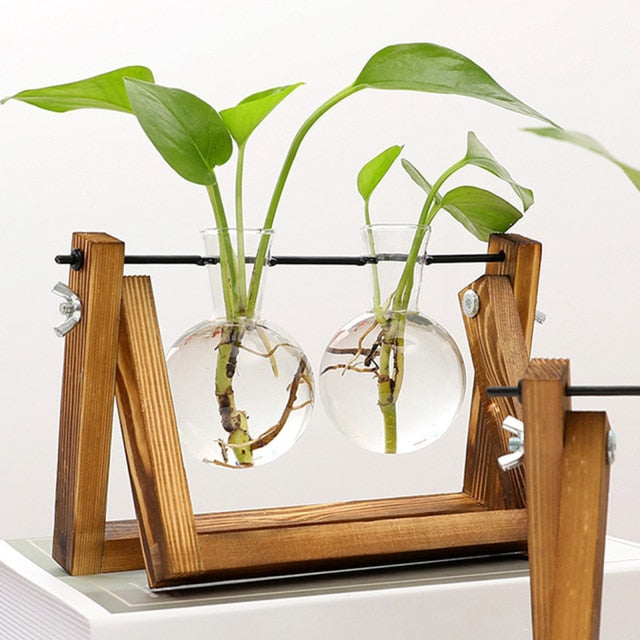 Easy glass refill propagation station