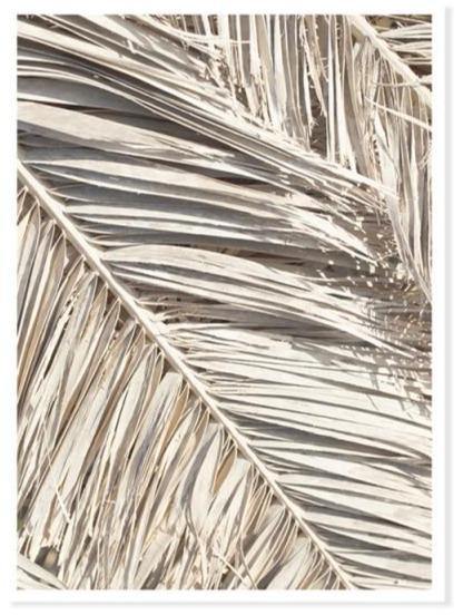 Bohemian canvas wall art - Leaf and Leisure