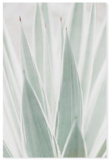 Bohemian canvas wall art - Leaf and Leisure