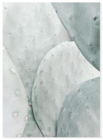 cactus wall art