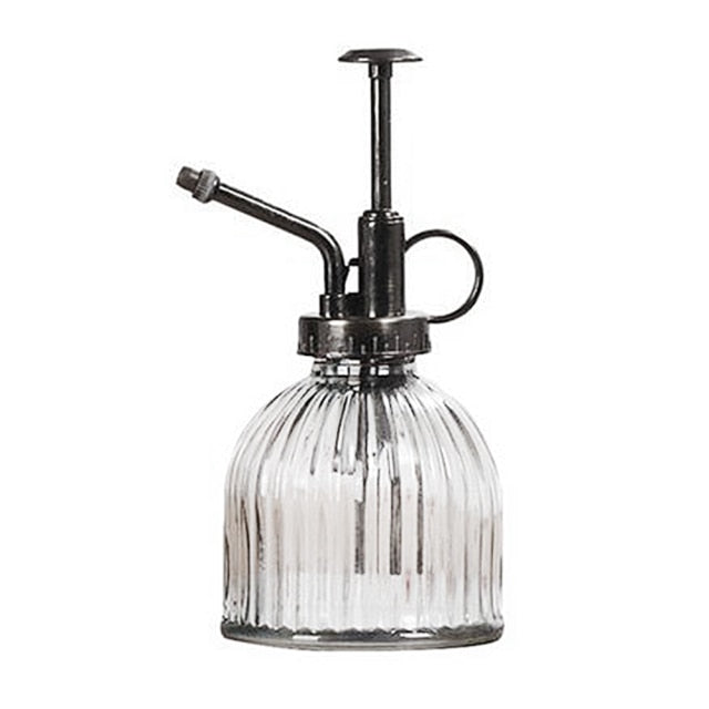 Glass water mister