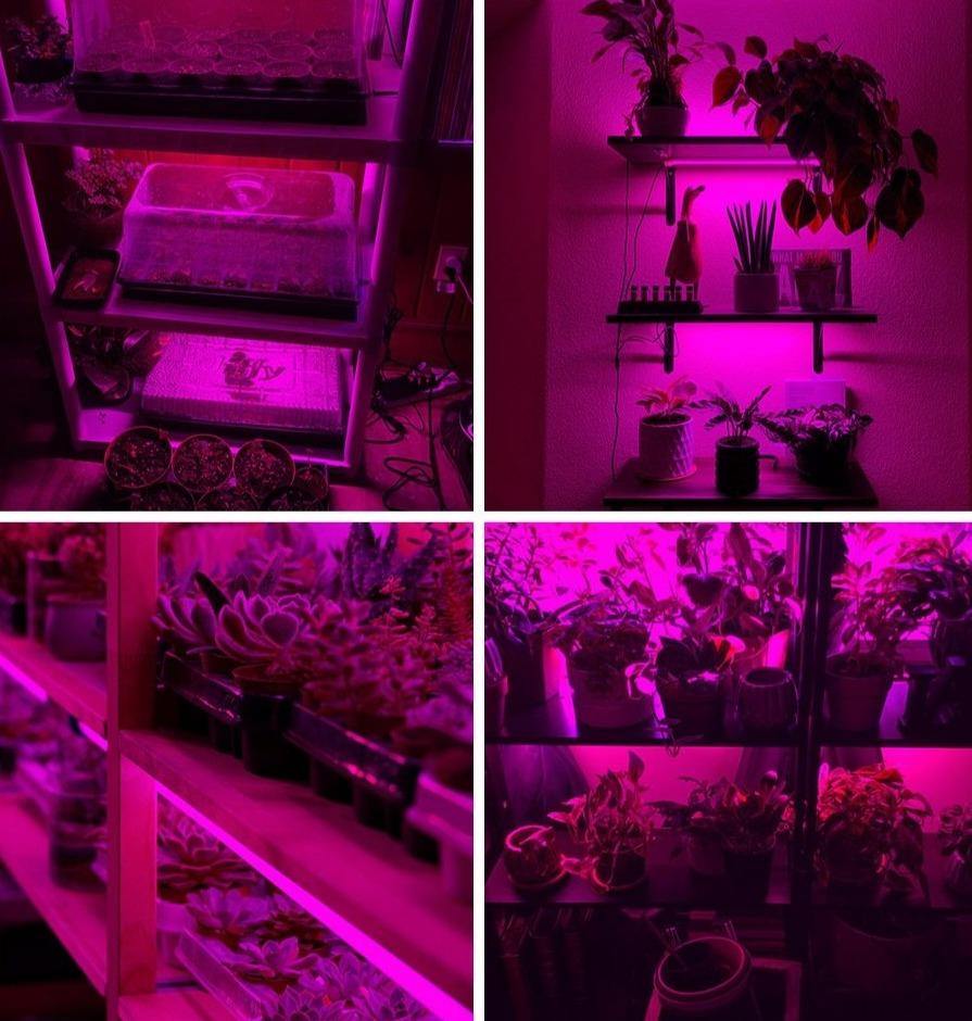 Phyto waterproof grow light strip - Leaf and Leisure