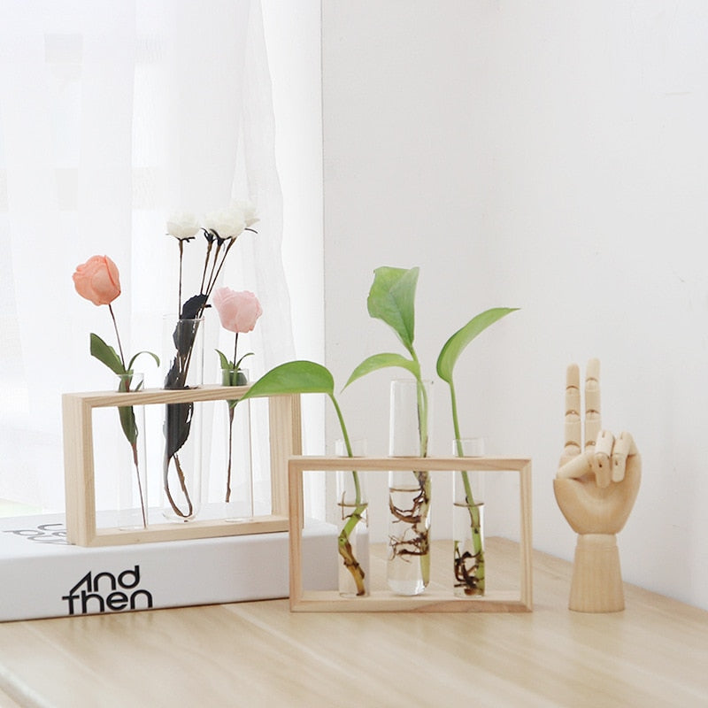 3 glass test tubes propagation stand