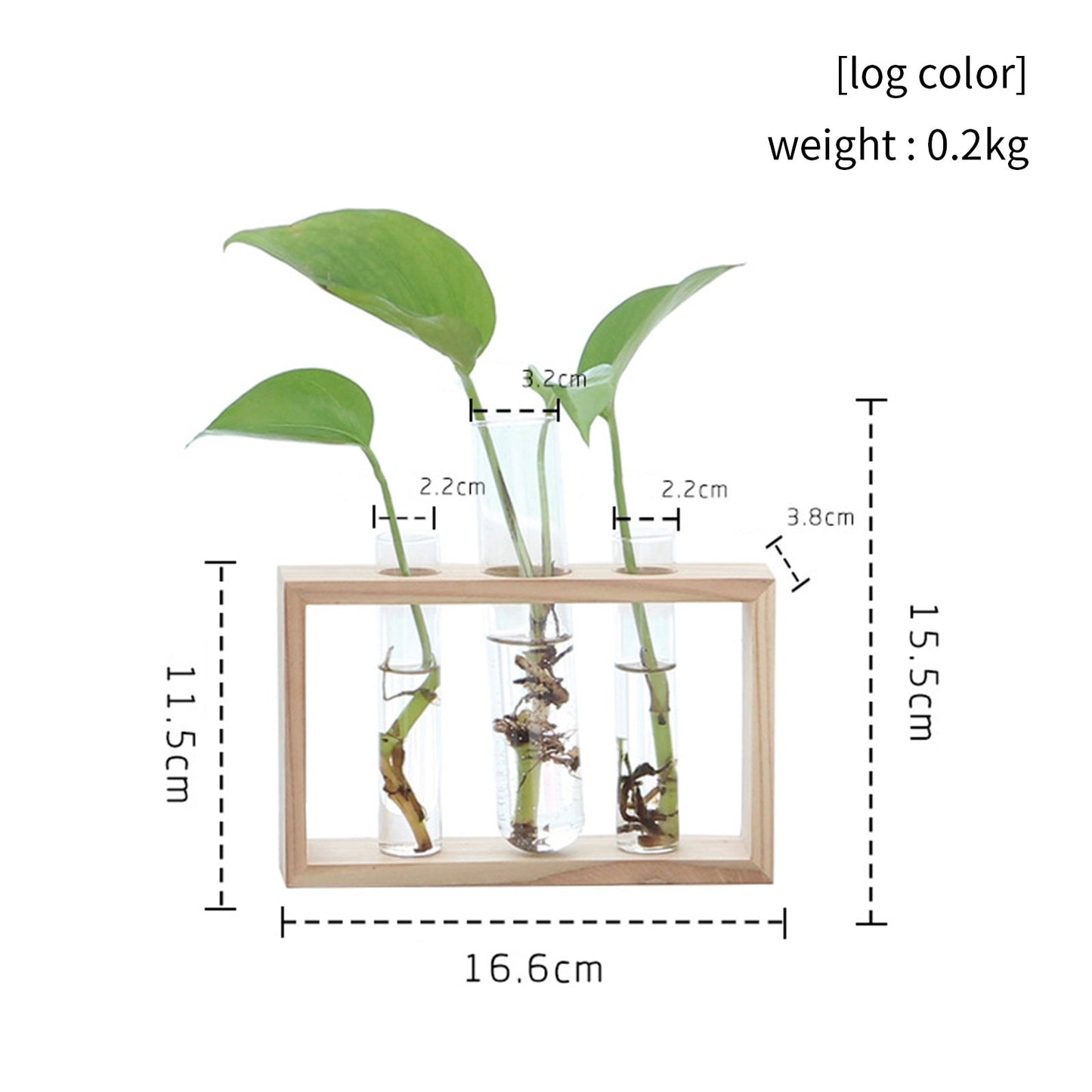 3 glass test tubes propagation stand