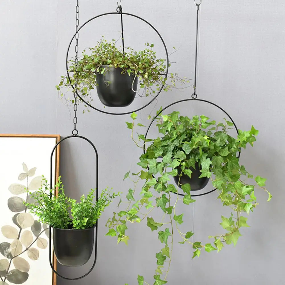 Hanging Iron planter