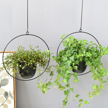Hanging Iron planter