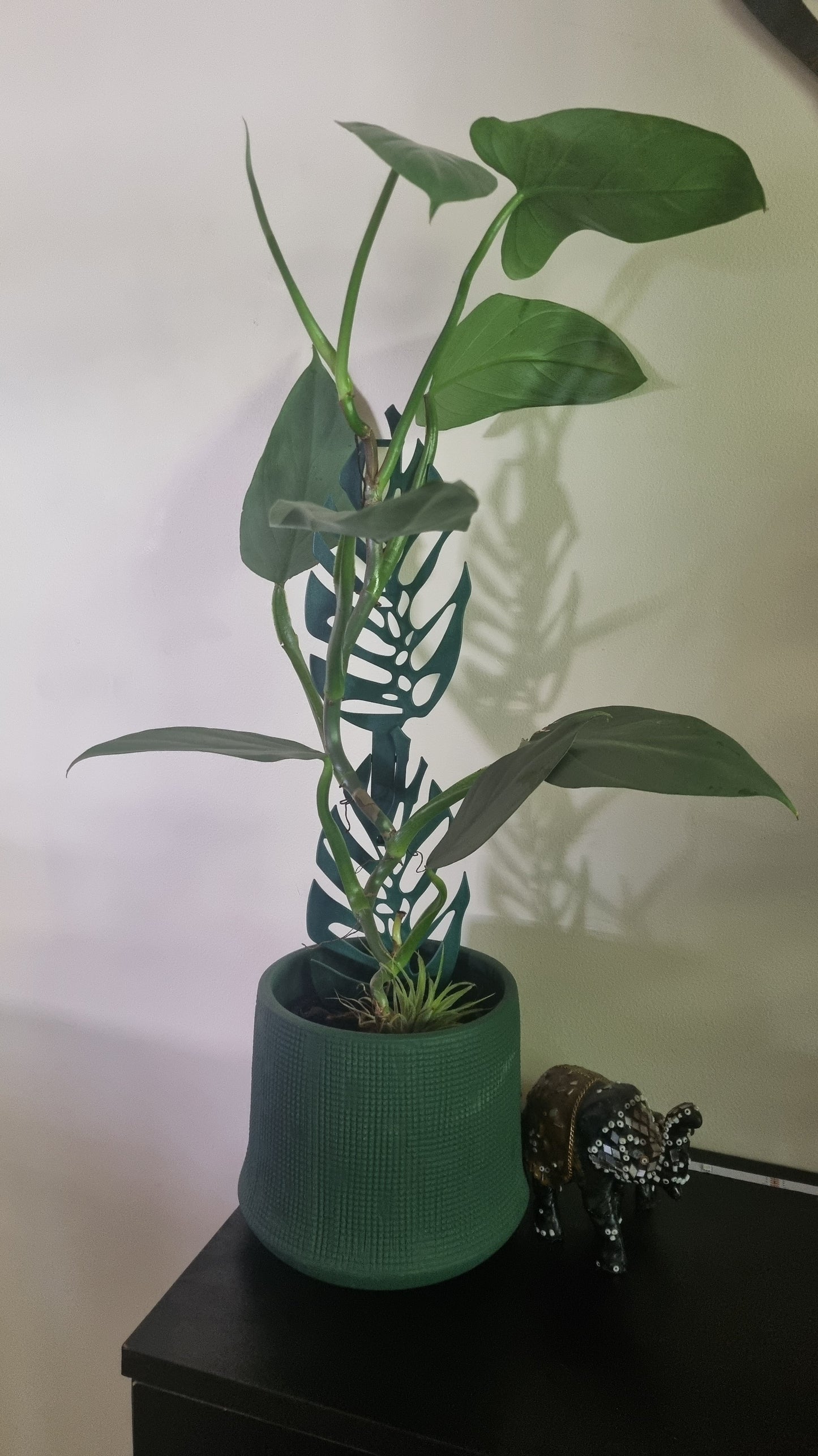 2 pc Plant climbing trelis