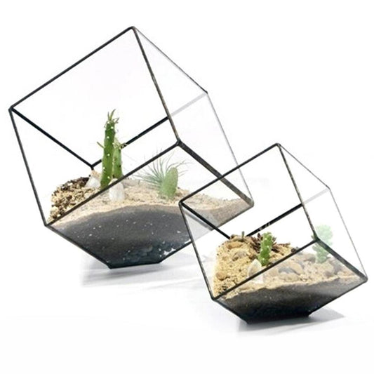 Glass terranium cube - Leaf and Leisure