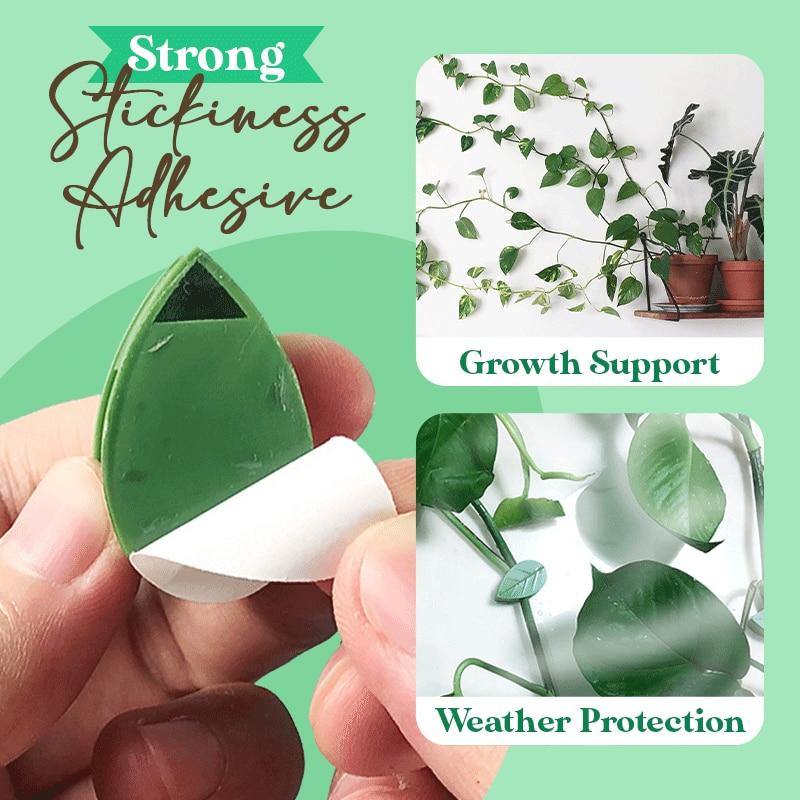 Plant climbing clips - Leaf and Leisure